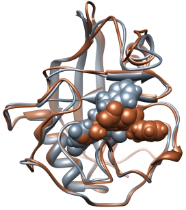 CypA/B with inhibitor