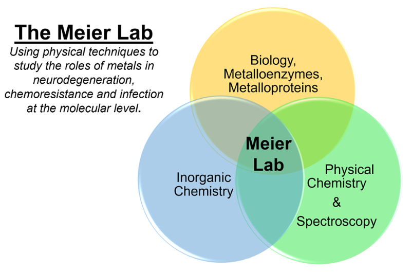 The Meier Lab