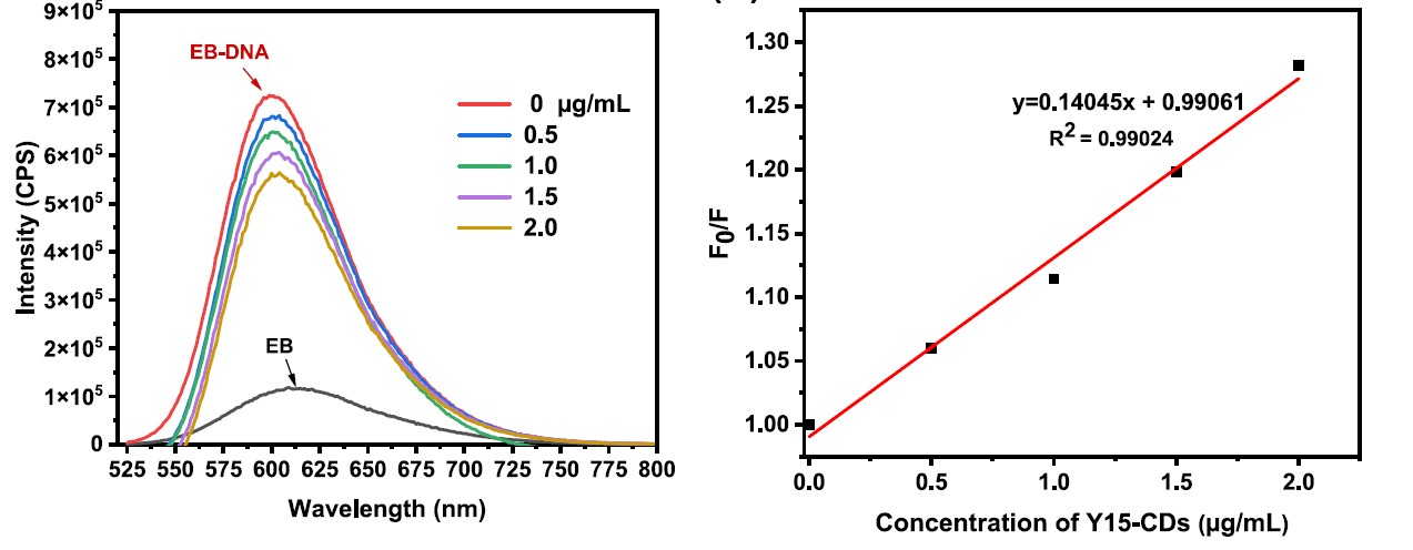 cat-cds-dna-binding-plot