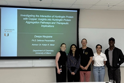 photos of Deepa's defense