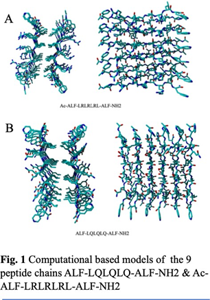 fig1