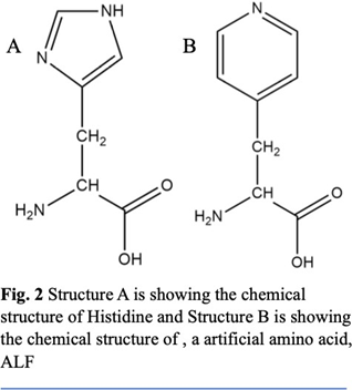 fig2