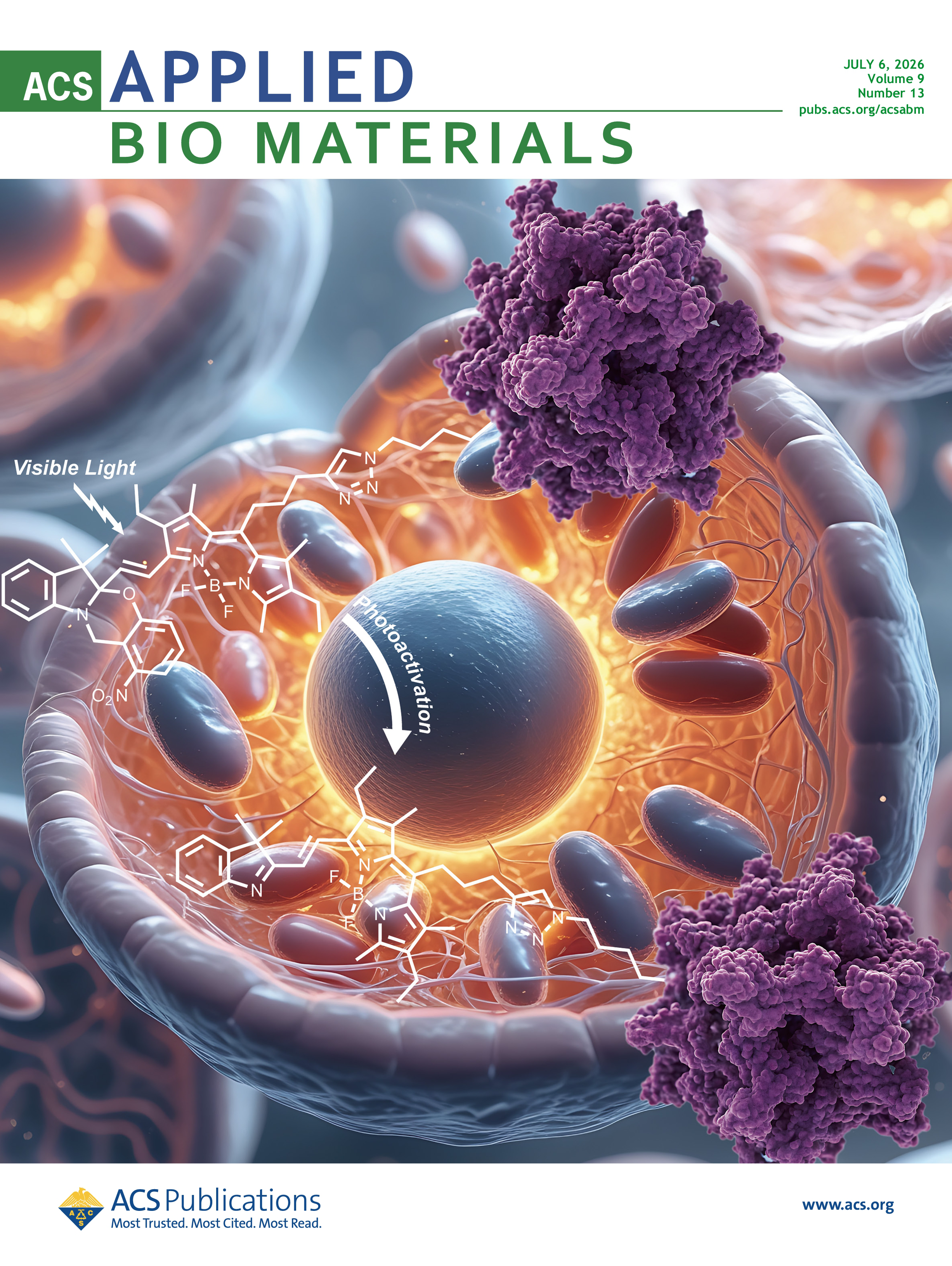AB Cover