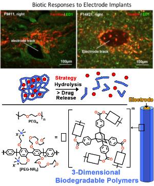 Biotoc Responses to Electrode Implants